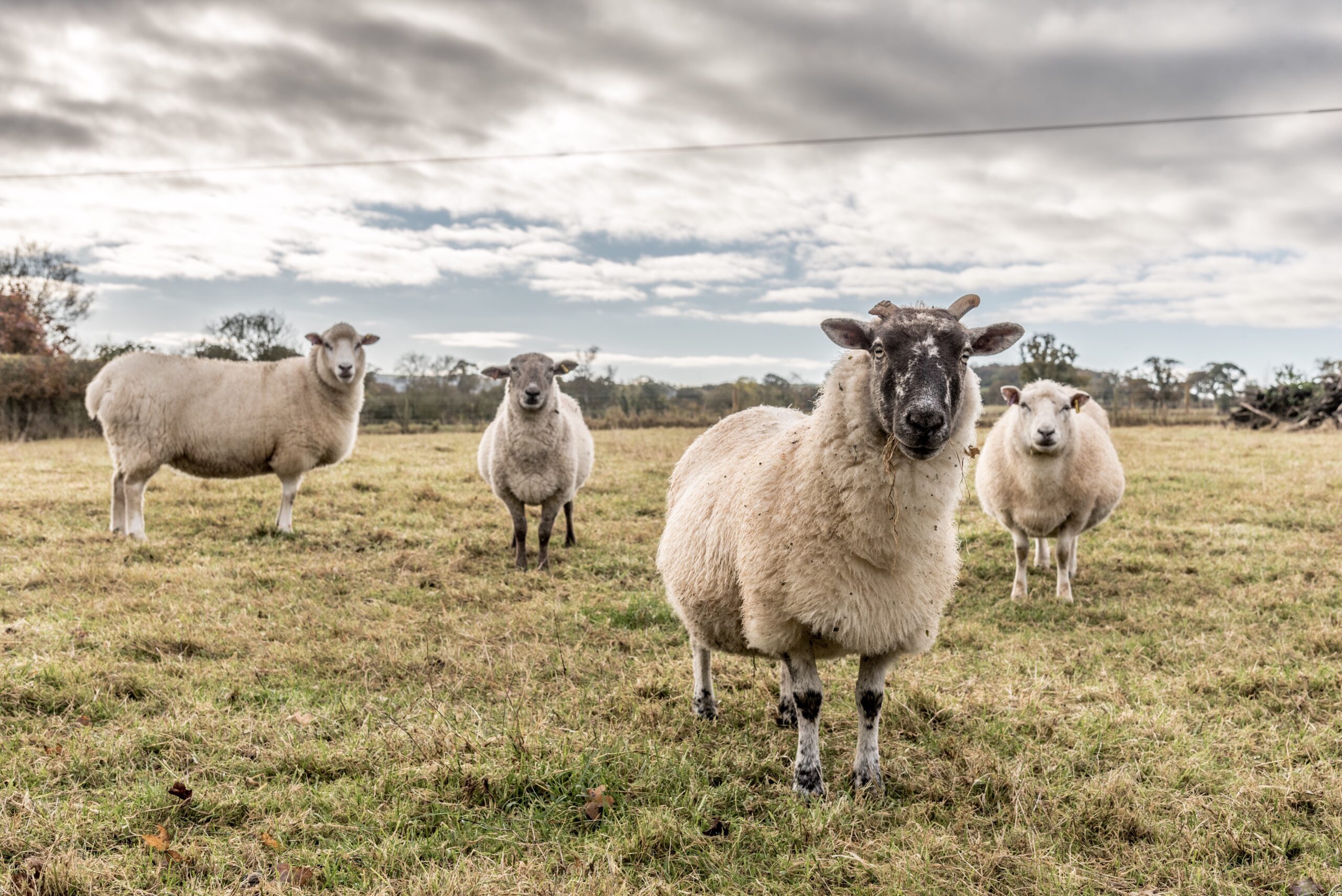 Dagvaarding ontvangen? Dit moet je doen – een stappenplan