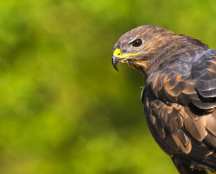 Alcohol en drugs op het werk