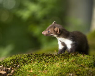 Uitzendarbeid moet écht tijdelijk zijn