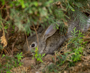 Huurder betaalt niet? Dit kun je als verhuurder doen
