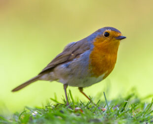 Dagdieverij voorkomen