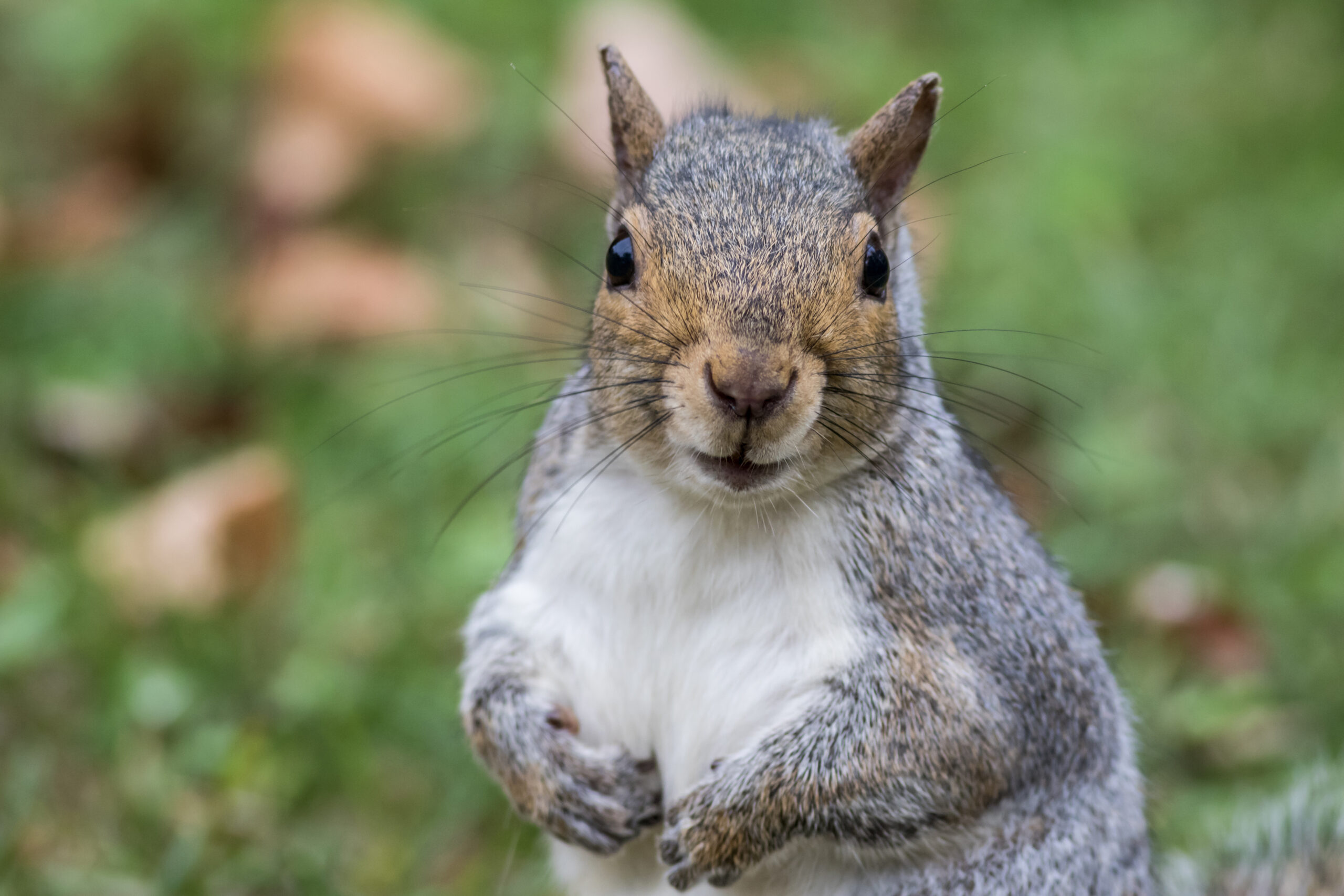 Ziekmelden: wat mag een werkgever wel en niet vragen?